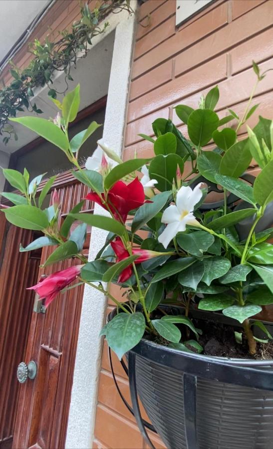 Ca Sal Holiday Home Лезина Екстериор снимка